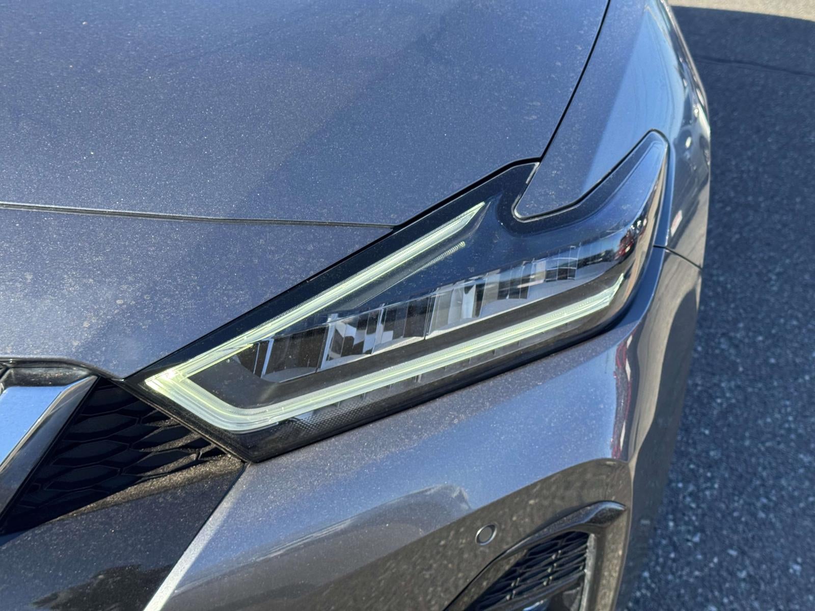 2023 Nissan Maxima Platinum