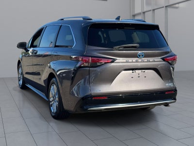 2023 Toyota Sienna Platinum 7 Passenger